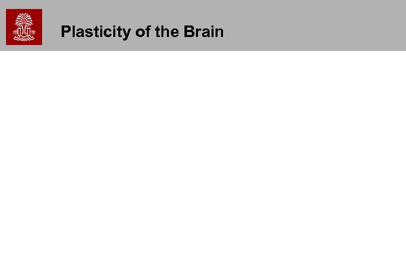 Plasticity of the Brain 