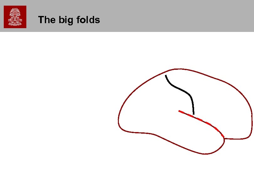 The big folds 