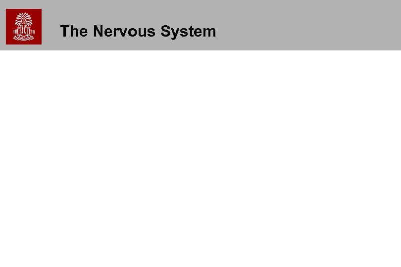 The Nervous System 