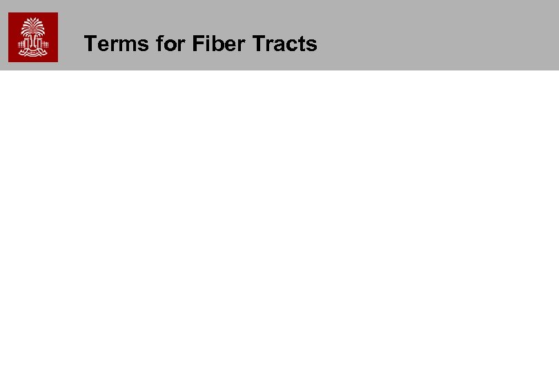 Terms for Fiber Tracts 
