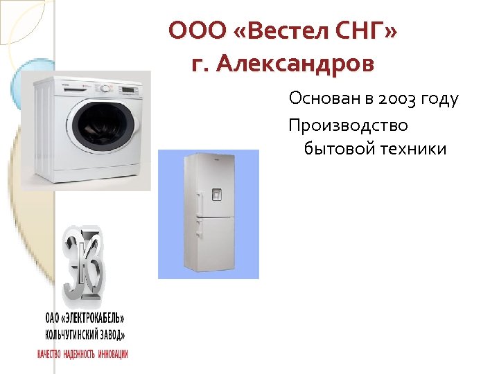 ООО «Вестел СНГ» г. Александров Основан в 2003 году Производство бытовой техники 