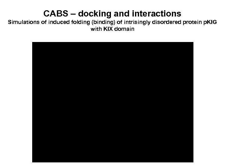CABS – docking and interactions Simulations of induced folding (binding) of intrisingly disordered protein