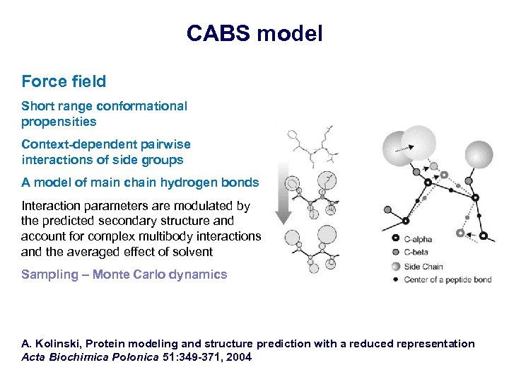 CABS model Force field Short range conformational propensities Context-dependent pairwise interactions of side groups