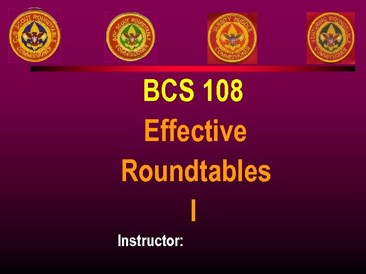 BCS 108 Effective Roundtables I Instructor: 