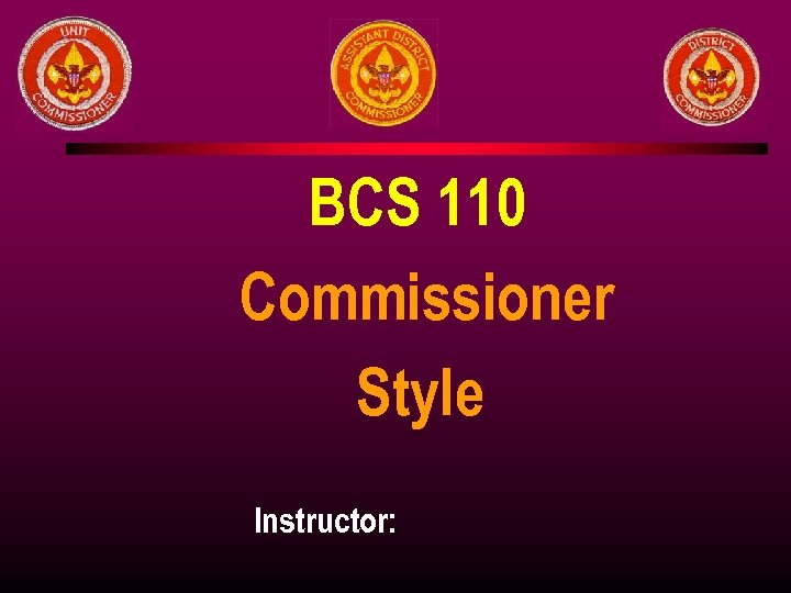 BCS 110 Commissioner Style Instructor: 