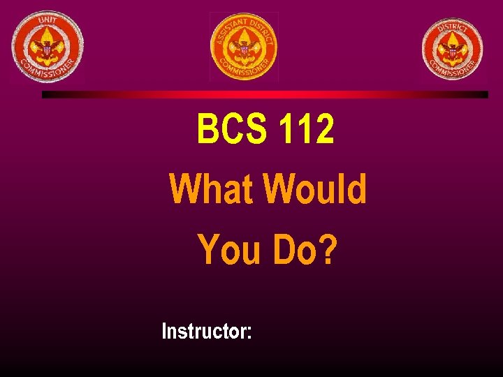 BCS 112 What Would You Do? Instructor: 