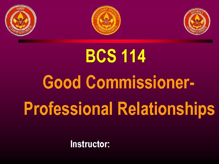 BCS 114 Good Commissioner. Professional Relationships Instructor: 