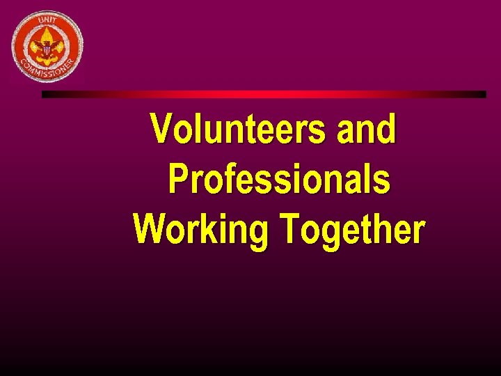 Volunteers and Professionals Working Together 