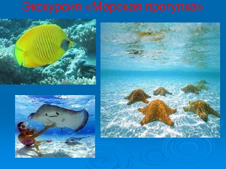 Экскурсия «Морская прогулка» 