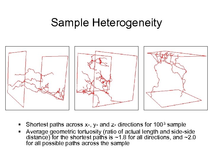 Sample Heterogeneity § Shortest paths across x-, y- and z- directions for 1003 sample