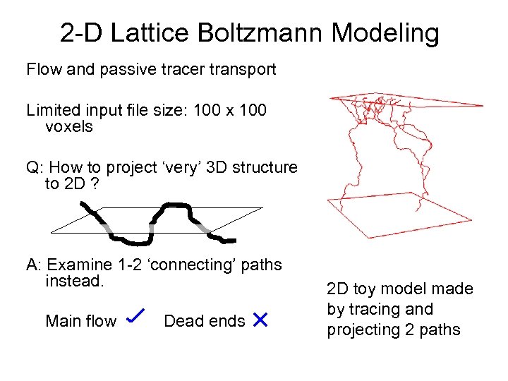 2 -D Lattice Boltzmann Modeling Flow and passive tracer transport Limited input file size: