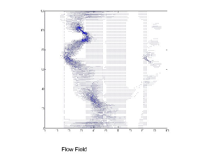 Flow Field 
