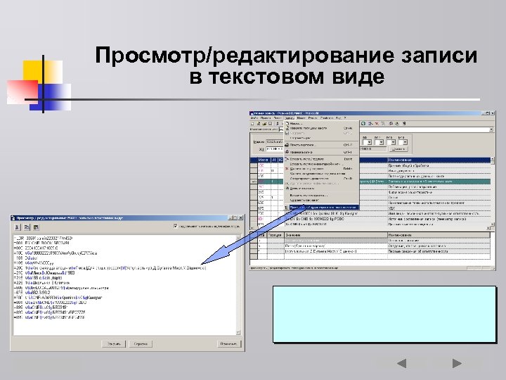 Просмотр/редактирование записи в текстовом виде 