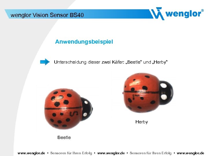 wenglor Vision Sensor BS 40 Anwendungsbeispiel Unterscheidung dieser zwei Käfer: „Beetle“ und „Herby“ Herby