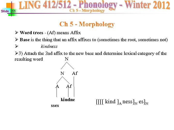Ch 5 - Morphology Slide 11 Ch 5 - Morphology Ø Word trees -
