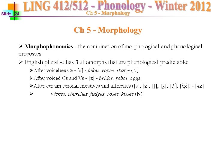 Slide 24 Ch 5 - Morphology 