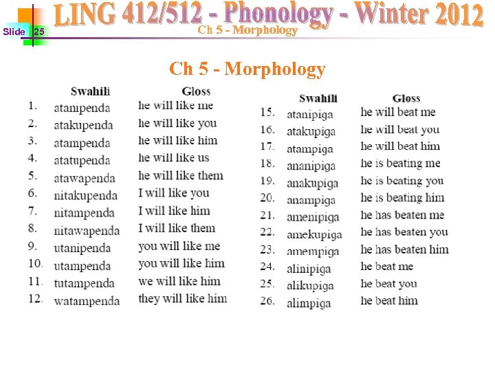 Slide 25 Ch 5 - Morphology 