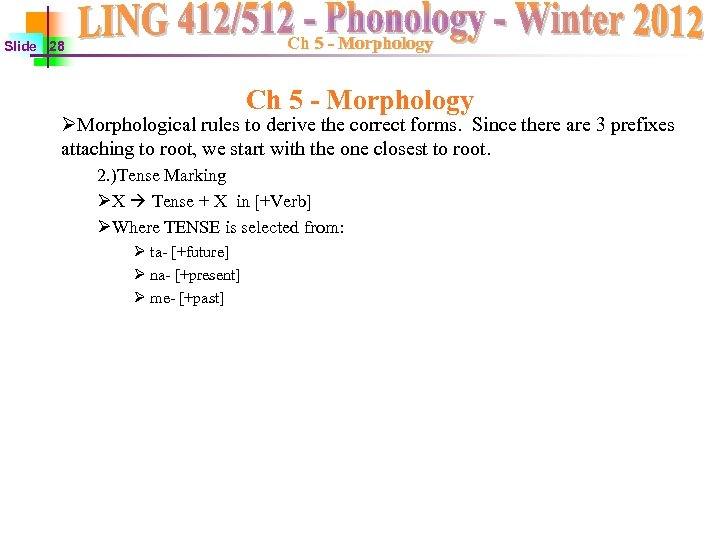 Ch 5 - Morphology Slide 28 Ch 5 - Morphology ØMorphological rules to derive