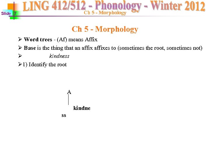 Ch 5 - Morphology Slide 7 Ch 5 - Morphology Ø Word trees -