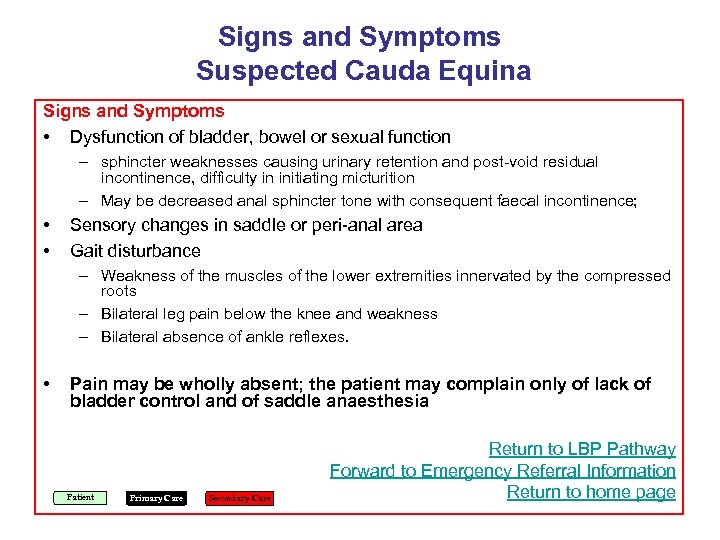 Signs and Symptoms Suspected Cauda Equina Signs and Symptoms • Dysfunction of bladder, bowel