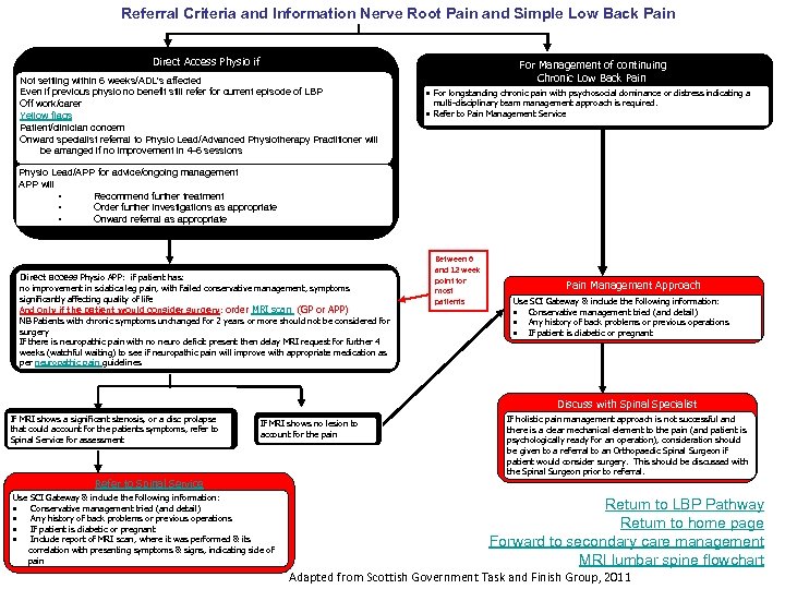 Referral Criteria and Information Nerve Root Pain and Simple Low Back Pain Direct Access