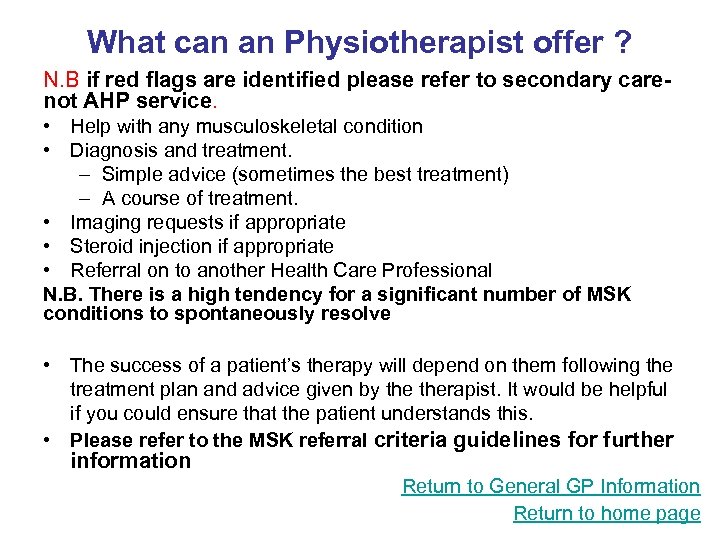 What can an Physiotherapist offer ? N. B if red flags are identified please