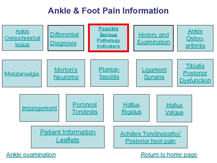 Ankle & Foot Pain Information Metatarsalgia Differential Diagnosis Possible Serious Pathology Indicators History and