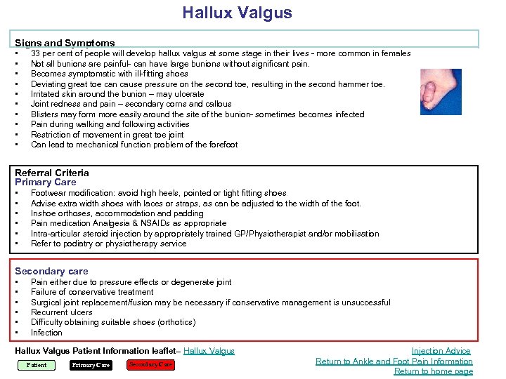 Hallux Valgus Signs and Symptoms • • • 33 per cent of people will