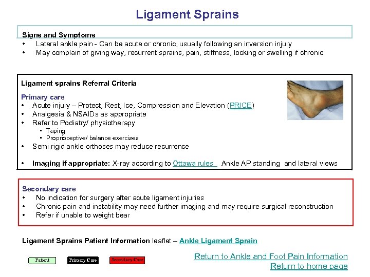 Ligament Sprains Signs and Symptoms • Lateral ankle pain - Can be acute or