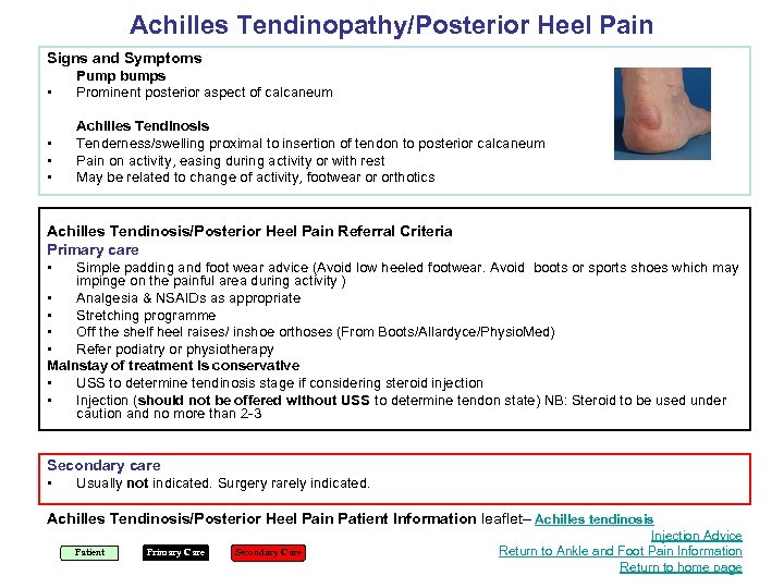 Achilles Tendinopathy/Posterior Heel Pain Signs and Symptoms • • • • Pump bumps Prominent