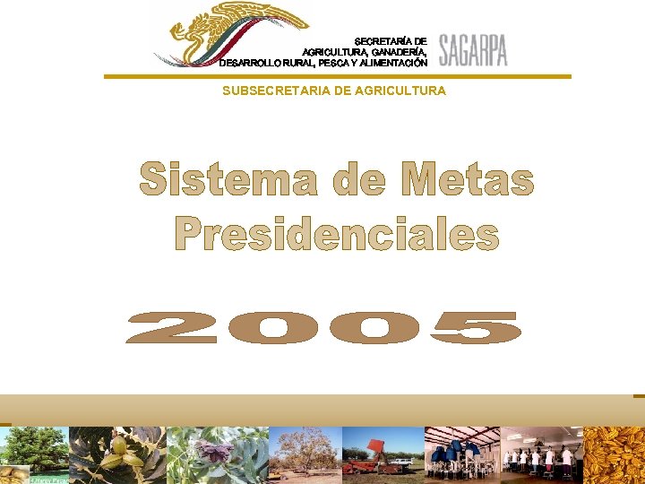 SECRETARÍA DE AGRICULTURA, GANADERÍA, DESARROLLO RURAL, PESCA Y ALIMENTACIÓN SUBSECRETARIA DE AGRICULTURA 