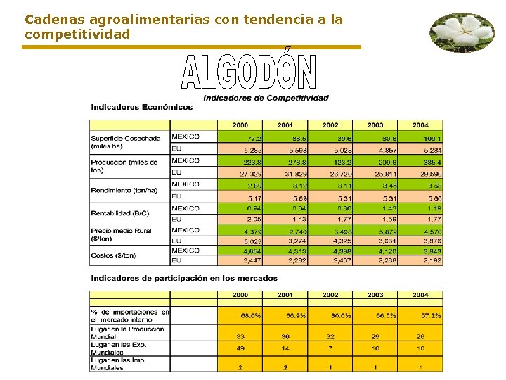 Cadenas agroalimentarias con tendencia a la competitividad 