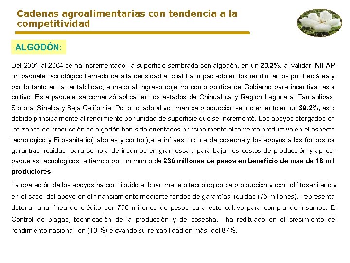 Cadenas agroalimentarias con tendencia a la competitividad ALGODÓN: Del 2001 al 2004 se ha