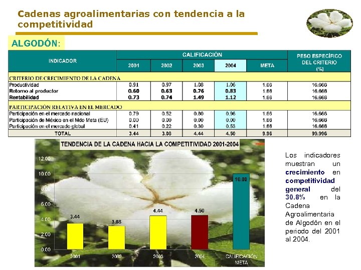 Cadenas agroalimentarias con tendencia a la competitividad ALGODÓN: Los indicadores muestran un crecimiento en