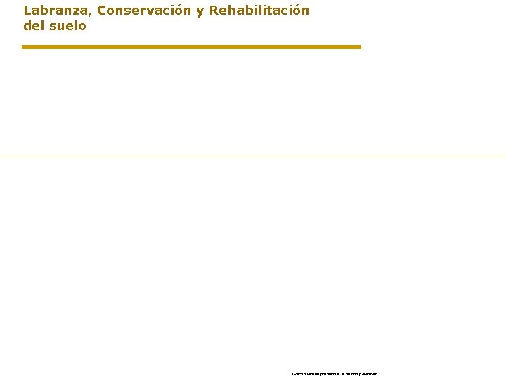 Labranza, Conservación y Rehabilitación del suelo • Reconversión productiva a pastos perennes 
