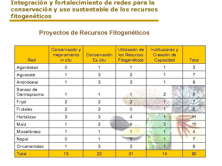 Integración y fortalecimiento de redes para la conservación y uso sustentable de los recursos