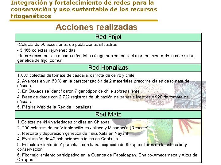 Integración y fortalecimiento de redes para la conservación y uso sustentable de los recursos