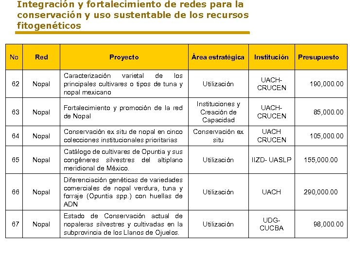 Integración y fortalecimiento de redes para la conservación y uso sustentable de los recursos