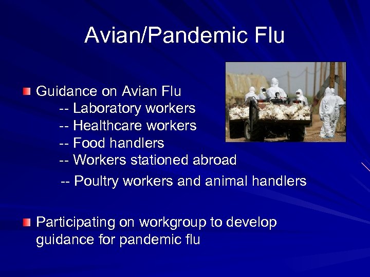 Avian/Pandemic Flu Guidance on Avian Flu -- Laboratory workers -- Healthcare workers -- Food