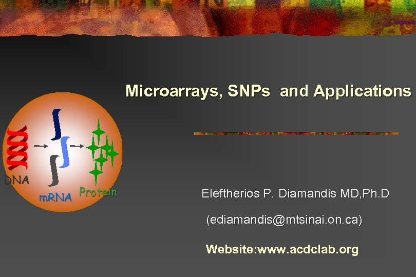 Microarrays, SNPs and Applications DNA m. RNA Protein Eleftherios P. Diamandis MD, Ph. D