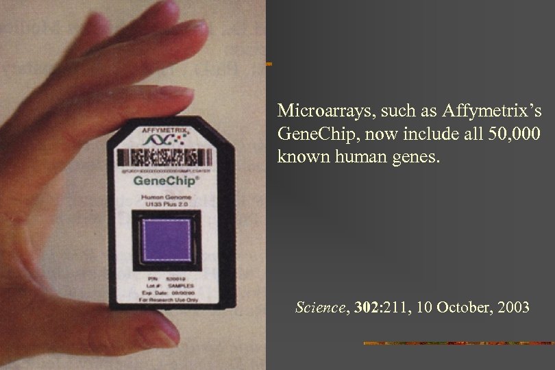 Microarrays, such as Affymetrix’s Gene. Chip, now include all 50, 000 known human genes.