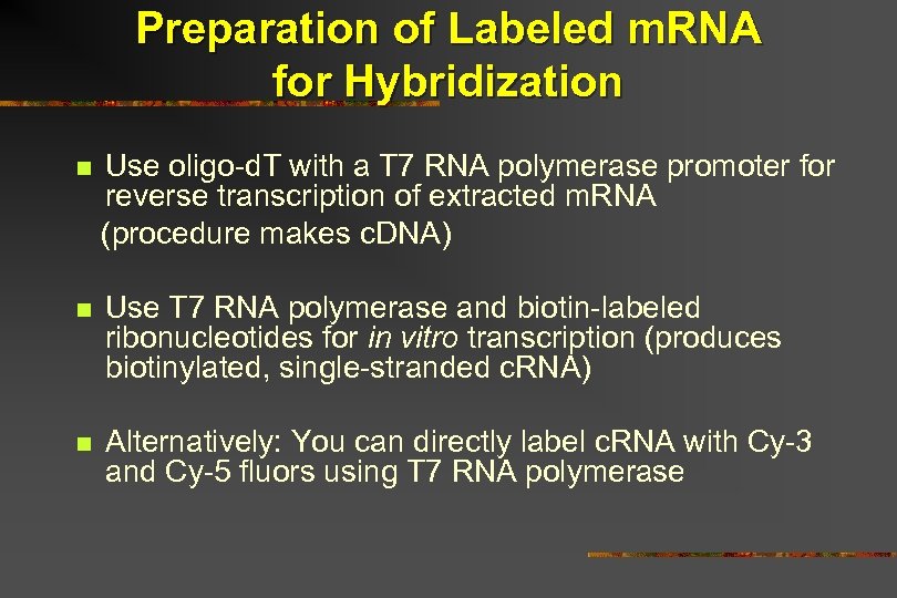 Preparation of Labeled m. RNA for Hybridization n Use oligo-d. T with a T