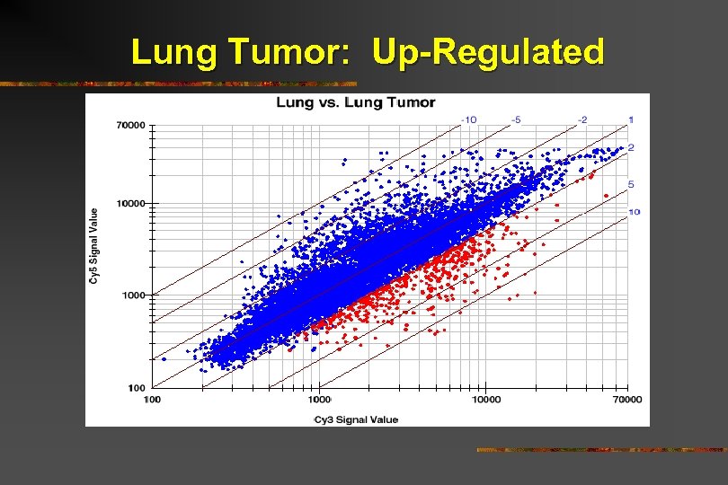 Lung Tumor: Up-Regulated 