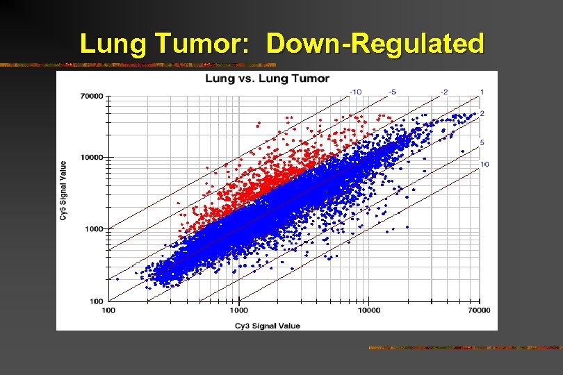 Lung Tumor: Down-Regulated 