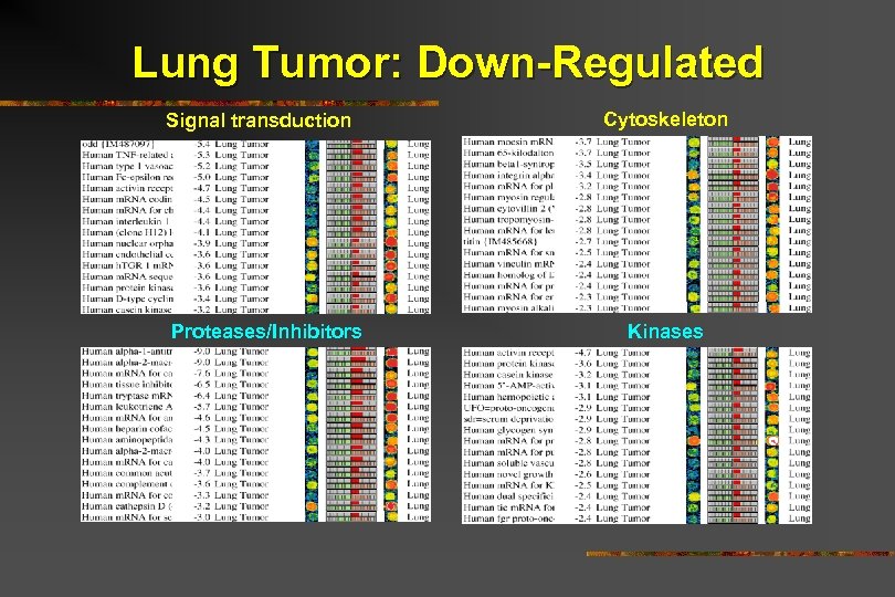 Lung Tumor: Down-Regulated Signal transduction Proteases/Inhibitors Cytoskeleton Kinases 