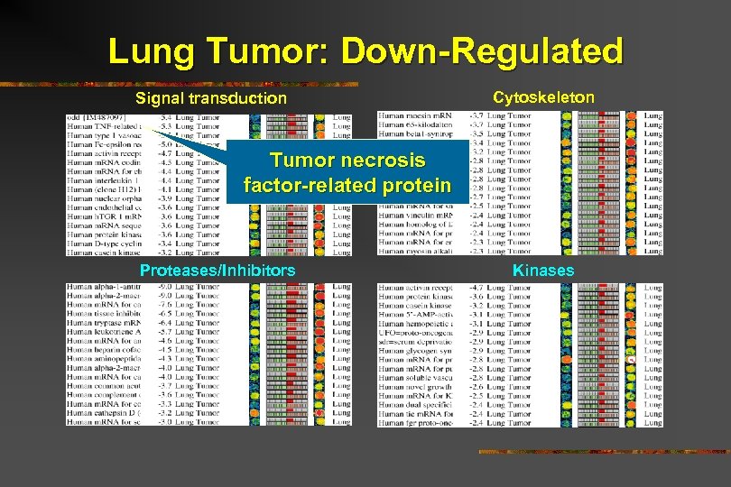 Lung Tumor: Down-Regulated Signal transduction Cytoskeleton Tumor necrosis factor-related protein Proteases/Inhibitors Kinases 