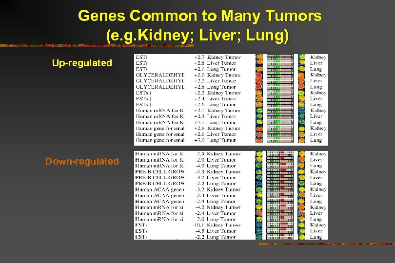 Genes Common to Many Tumors (e. g. Kidney; Liver; Lung) Up-regulated Down-regulated 