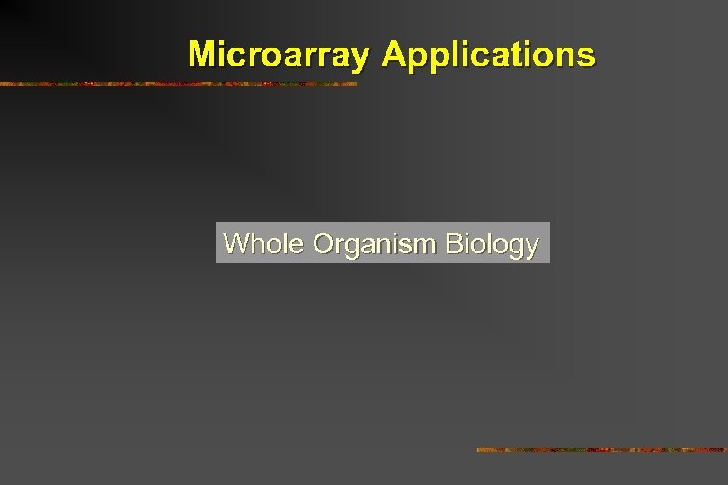 Microarray Applications Whole Organism Biology 