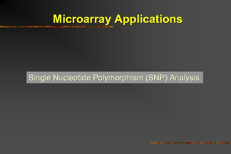 Microarray Applications Single Nucleotide Polymorphism (SNP) Analysis 