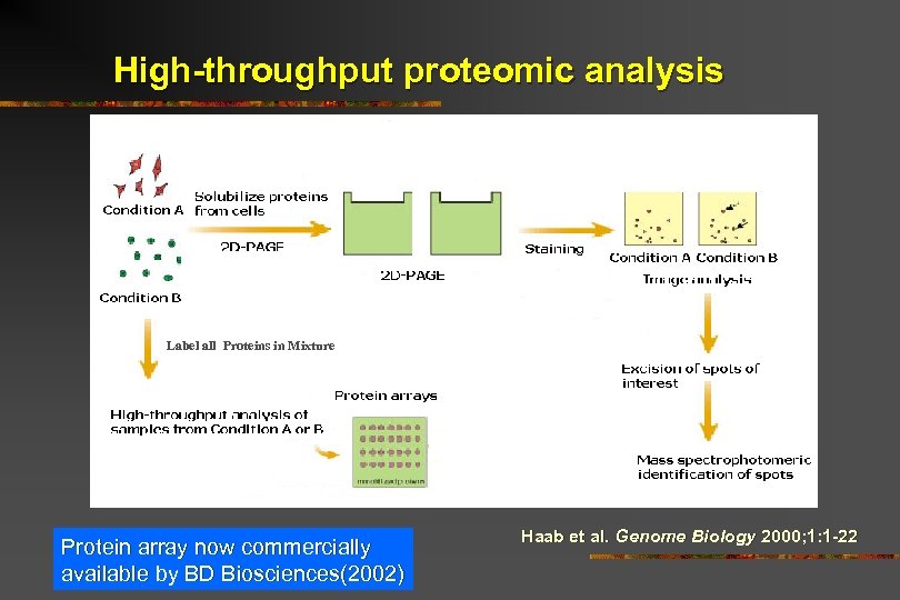 High-throughput proteomic analysis Label all Proteins in Mixture Protein array now commercially available by